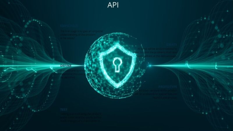 An API Security Testing Guide