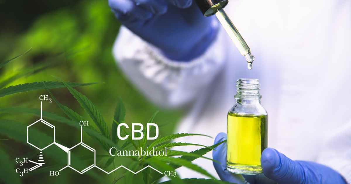 How CBD Can Enhance Your Everyday Health: Formula Swiss Explains