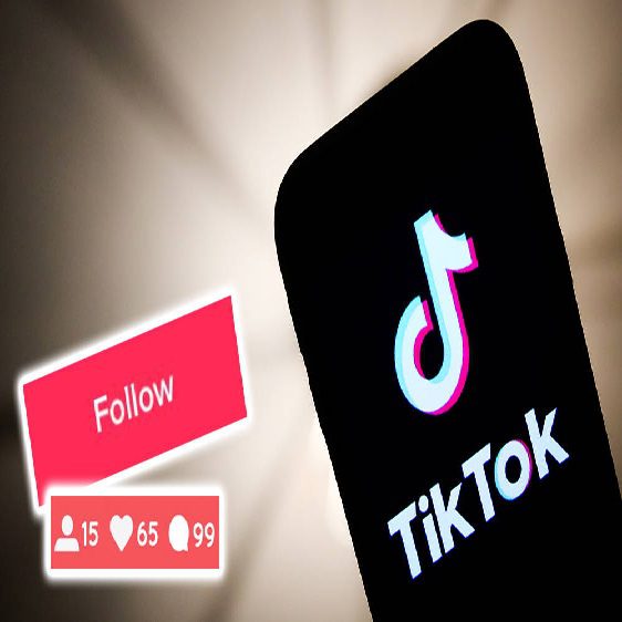 How do I gain TikTok followers?