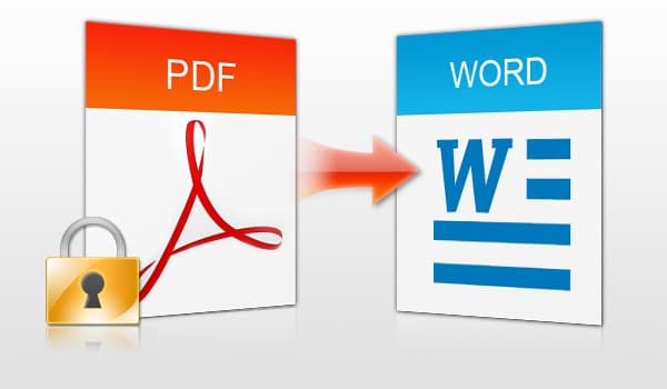 4 Amazing Benefits That Digital Business Can Experience From PDF Converters