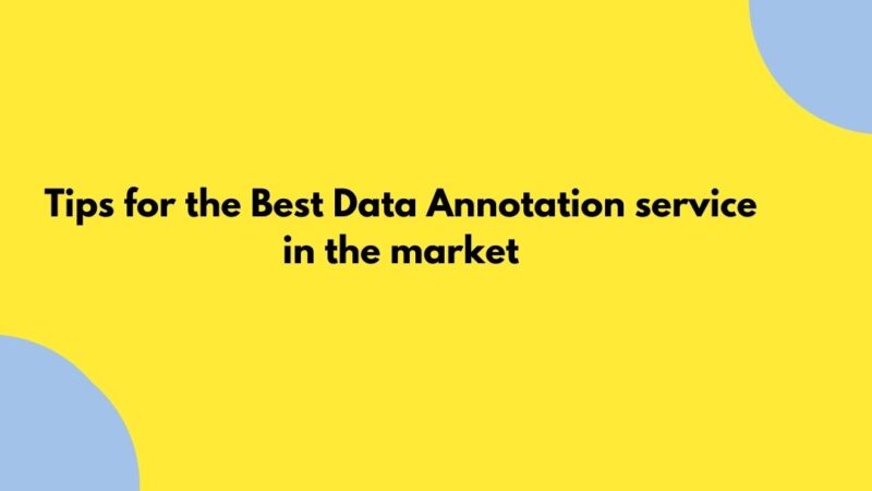 Tips for the Best Data Annotation service in the market